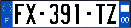 FX-391-TZ