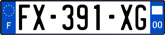 FX-391-XG