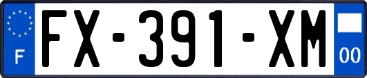 FX-391-XM