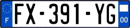 FX-391-YG