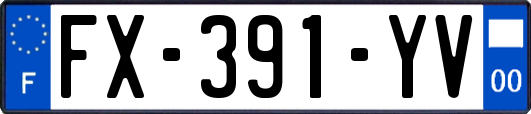 FX-391-YV