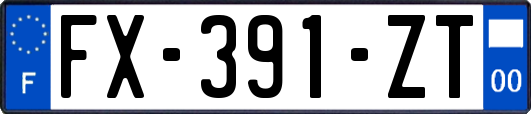 FX-391-ZT