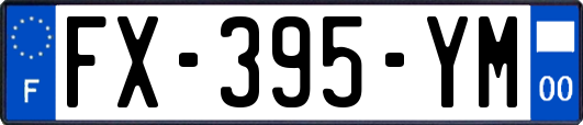 FX-395-YM