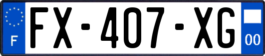 FX-407-XG