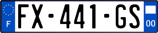 FX-441-GS