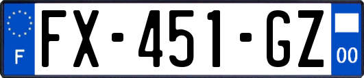 FX-451-GZ