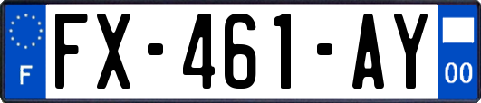 FX-461-AY
