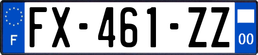 FX-461-ZZ