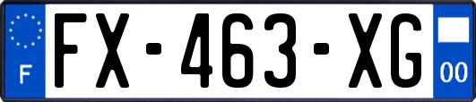 FX-463-XG