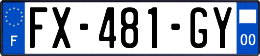 FX-481-GY