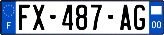 FX-487-AG