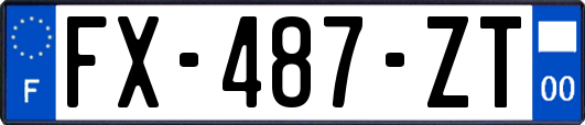 FX-487-ZT