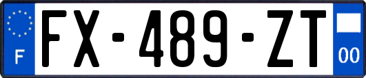 FX-489-ZT