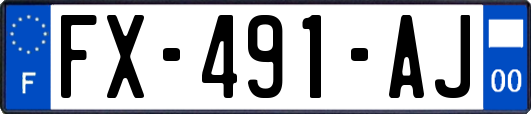 FX-491-AJ