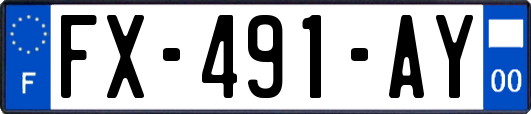 FX-491-AY