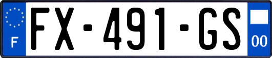 FX-491-GS