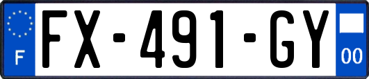 FX-491-GY