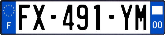 FX-491-YM