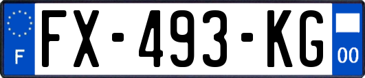 FX-493-KG