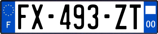 FX-493-ZT