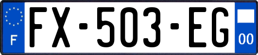 FX-503-EG