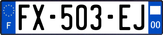 FX-503-EJ