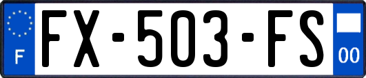 FX-503-FS