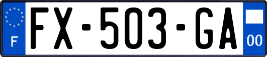 FX-503-GA