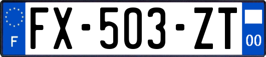 FX-503-ZT