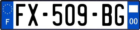 FX-509-BG