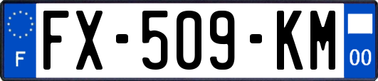 FX-509-KM