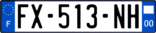 FX-513-NH