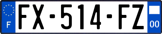 FX-514-FZ
