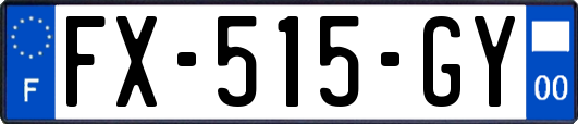 FX-515-GY