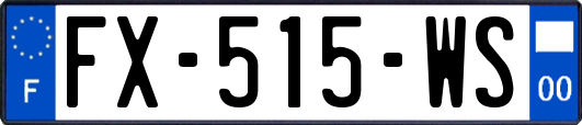 FX-515-WS