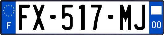 FX-517-MJ