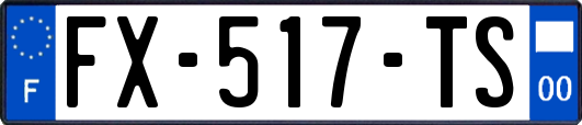 FX-517-TS