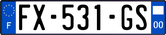 FX-531-GS