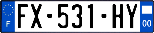 FX-531-HY