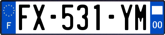 FX-531-YM