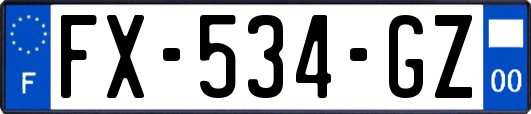 FX-534-GZ