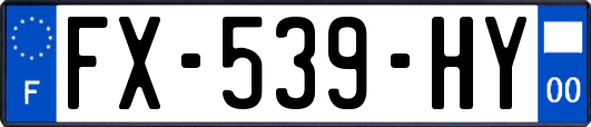 FX-539-HY