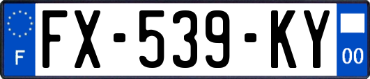 FX-539-KY