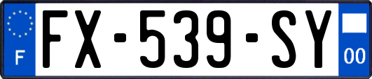 FX-539-SY