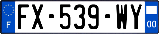 FX-539-WY