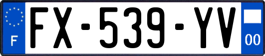 FX-539-YV