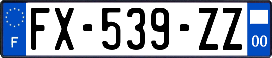 FX-539-ZZ