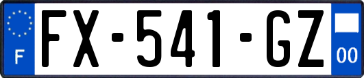 FX-541-GZ