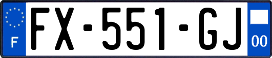 FX-551-GJ