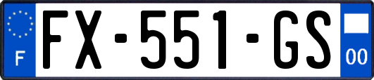 FX-551-GS